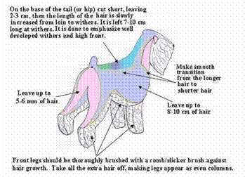 how do you groom black russian terrier